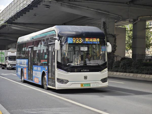 IMG 20251017 113512.jpg