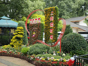 IMG 20251108 105132.jpg