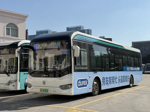申沃 SWB6109BEV38(iEV10).jpg