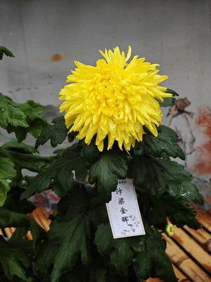 IMG 20251108 112056.jpg