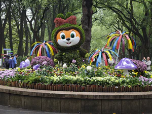 IMG 20251108 105830.jpg