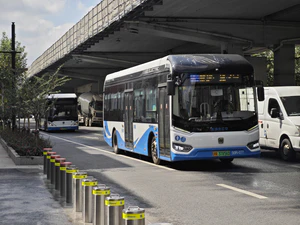 IMG 20251017 113959.jpg