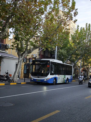 Y9A-011 宇通 ZK6850BEVG57A(E8)（浦东上南） 786路停靠在复兴中路瑞金二路.jpg