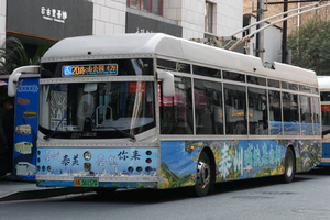 SWB5129BEV77G(iEV12T)申沃.jpg