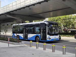 IMG 20251017 093617.jpg