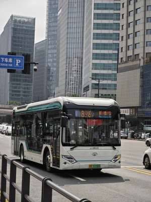 IMG 20251004 123843.jpg