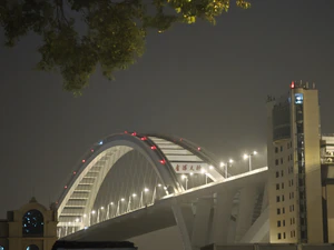 夜晚的卢浦大桥.jpg