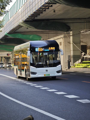 S0S-0296 申沃 SWB6109BE69G(iEV10).jpg