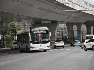 IMG 20251004 123832.jpg