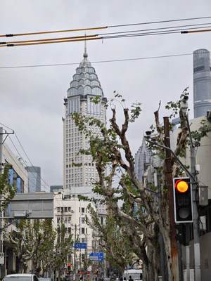 IMG 20251018 134340.jpg