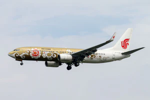 国航金牡丹彩绘 B737-89L.jpg
