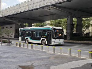 IMG 20251017 115204.jpg