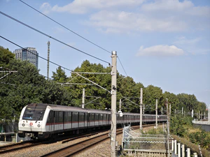 IMG 20251116 132929.jpg