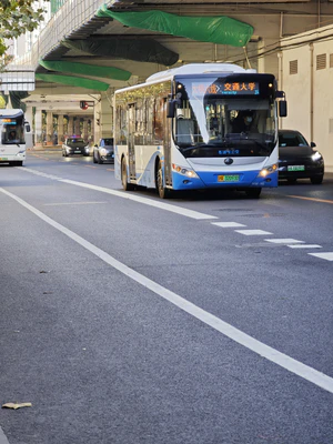 V0E-115 宇通 ZK6105BEVG29(E10).jpg