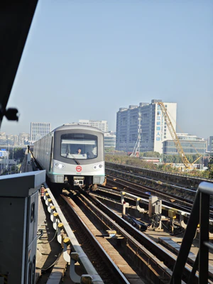 IMG 20251116 082038.jpg