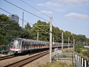 IMG 20251116 132533.jpg