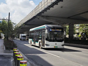 IMG 20251017 113156.jpg