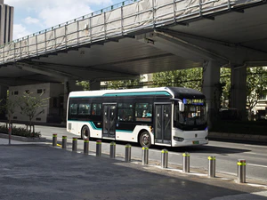 IMG 20251017 115058.jpg