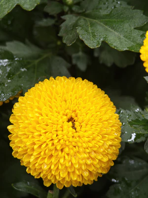 IMG 20251108 111502.jpg