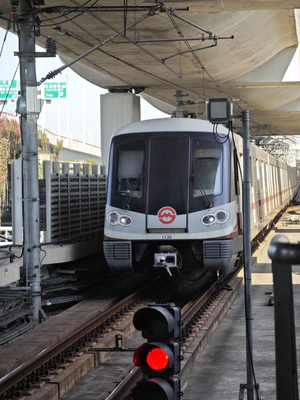 IMG 20251116 093450.jpg