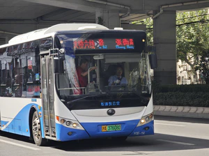 IMG 20251017 113727.jpg