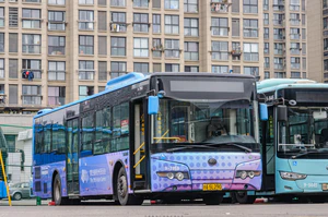 杭州公交ZK6125HNG2 担当余杭公交机动车 临平北站停备中.jpg